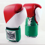 Necalli Professional Sparring/Training Hybrid Boxing Gloves - eBay/Amazon - Casanova Boxing USA