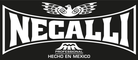Necalli Boxing