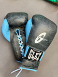 GLEZ x NECALLI Professional Premier Leather Boxing Gloves